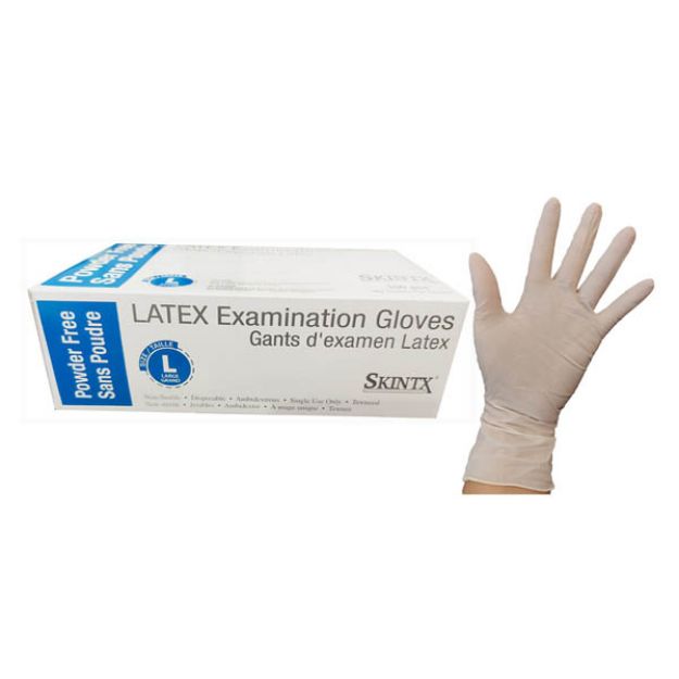 Picture of Latex Skintx Powder-Free Large Textured 90015 100Pc/Bx 10Bx/Cs