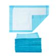 Picture of Underpads PE Back Sheet 17X12in Essential Cares 100Pc/Bg 5Bg/Cs