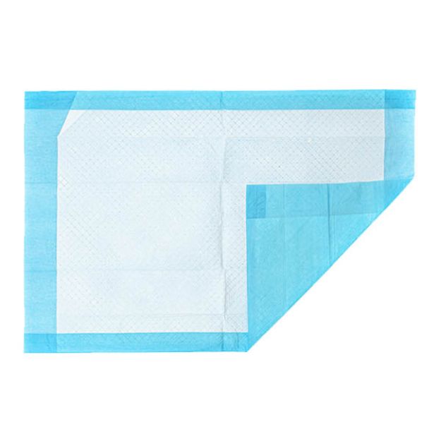 Picture of Underpads PE Back Sheet 17X24in Essential Cares 75Pc/Bg 4Bg/Cs