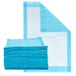 Picture of Underpad Dry Plus 30X36 Essential Cares 10Pc/Pk 10Pk/Cs