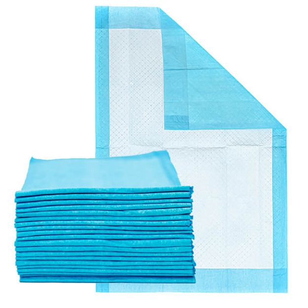 Picture of Underpad Dry Plus 30X36 Essential Cares 10Pc/Pk 10Pk/Cs