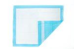 Picture of Underpad Dry Plus 30X36 Essential Cares 10Pc/Pk 10Pk/Cs